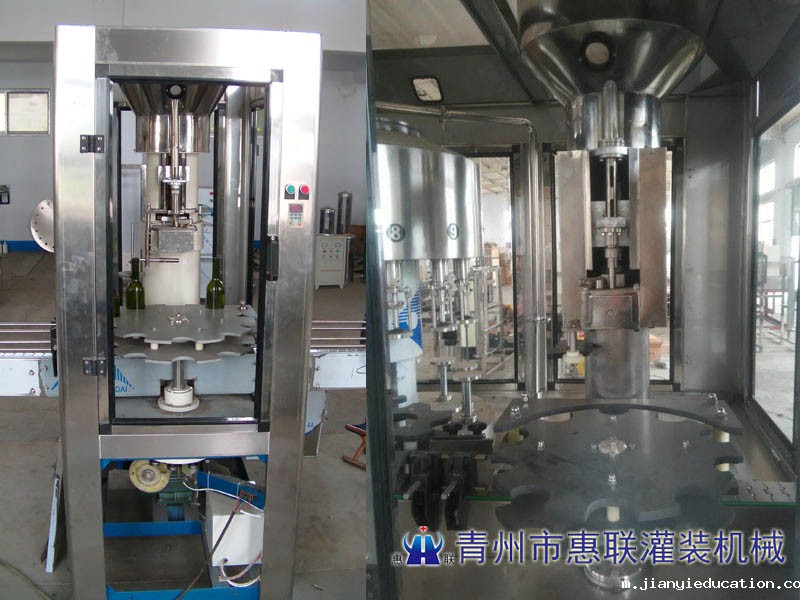 红酒灌装生产线配套设备全自动打塞机